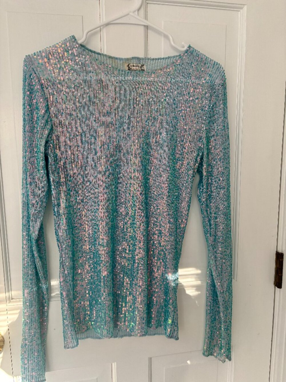 Free People blue sequin long sleeve tee
